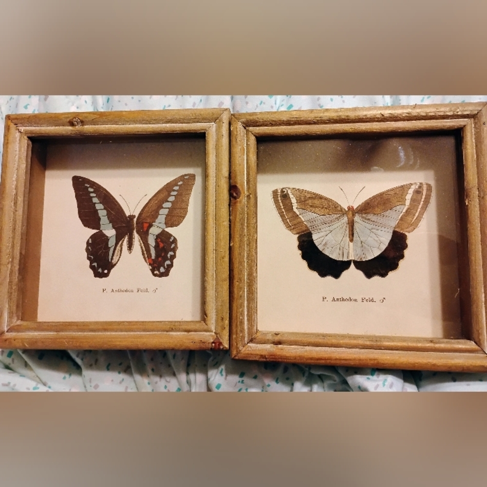 Framed Butterfly Wall Art Set